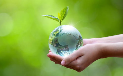 Unit 3: GREEN LIVING