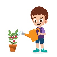 water the houseplants