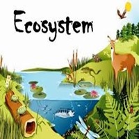 ecosystem