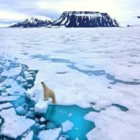 polar ice melting